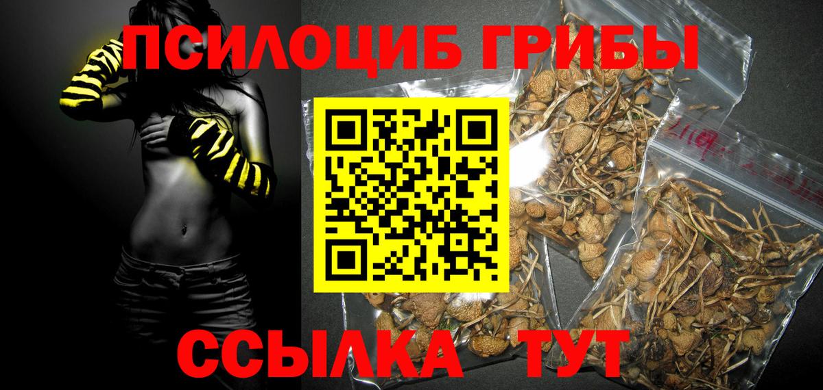 Псилоцибиновые грибы Psilocybe  Вход с VPN  Бийск 