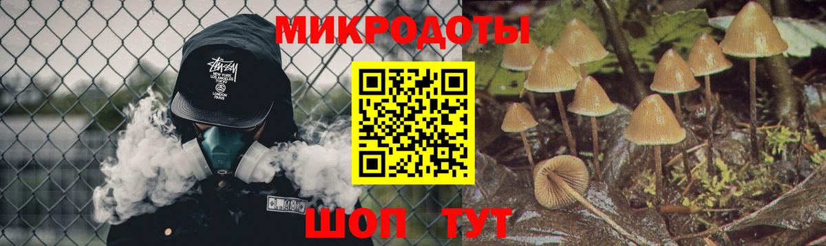 Псилоцибиновые грибы Cubensis Бийск